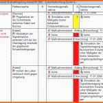 Erstaunlich 17 Fmea Excel Vorlage