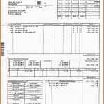 Erstaunlich 20 Lohnabrechnung Muster