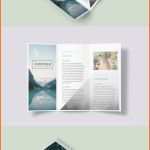 Erstaunlich A Beautiful Multipurpose Tri Fold Dl Brochure Template