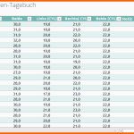 Erstaunlich Brillenpanda Sehweiten Tagebuch – Excel Vorlage