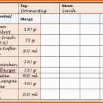 Erstaunlich Das Ernährungstagebuch