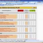 Erstaunlich Fragebogen Auswerten Excel – Gehen