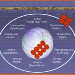 Erstaunlich Haccp Hygieneschulung Haccp Schulung Auf Cd Rom Vorlage