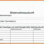 Erstaunlich Selbstauskunft Mieter Vorlage