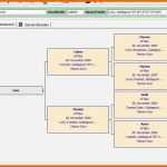 Erstaunlich Vorlage Stammbaum Excel – Gehen