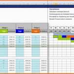 Exklusiv Excel Projektplanungstool Pro Zum Download