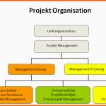 Exklusiv Matrix Projektorganisation Definition Beispiel