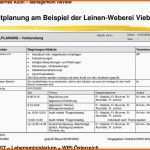 Fabelhaft Internes Audit Management Review Pdf