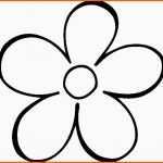 Fabelhaft Stempel Blume 3x3 Cm Motivstempel Tierisch Floral