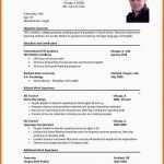 Fantastisch Die Besten 25 Curriculum Vitae In English Ideen Auf