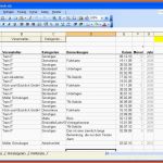 Fantastisch Einnahmen Ausgaben Excel Vorlage Privat Papacfo