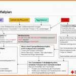 Fantastisch Snap Charmant Es Notfallplan Vorlage Zeitgenössisch