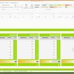 Faszinieren 15 Fragebogen Excel Vorlage