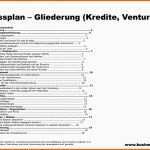 Großartig 12 Businessplan Muster Kostenlos Pdf