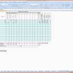 Großartig Excel Vorlage Team Controlling