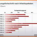 Großartig Leistungsfortschritt Der Arbeitspakete Im Projekt