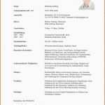 Größte Bewerbung Ausbildung Vorlage 6 Second Resume Template