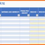 Größte Kostenlose Excel Inventar Vorlagen