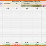 Hervorragen Ernährungstagebuch Vorlage Excel Bewundernswert