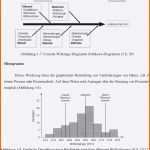 Hervorragen ishikawa Diagramm Vorlage Lovely Fantastisch Augen