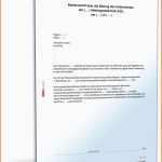 Hervorragend Bestellung Vorstand Aktiengesellschaft Muster Zum Download