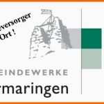 Hervorragend Ssv Hermaringen E V