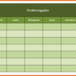 Ideal Ernährungsplan Als Excel Vorlagen