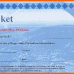 Ideal Flugticket Geschenk