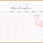 Ideal Stundenplan 2014 2015 Freebie Kathie S Cloud