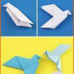 Kreativ origami Taube Falten Anleitung