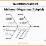 Limitierte Auflage 13 ishikawa Diagramm Vorlage