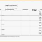 Limitierte Auflage Ernährungstagebuch Vorlage Schön Ernährungstagebuch