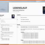 Limitierte Auflage Lebenslauf Muster Meinebewerbung