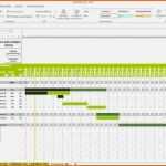 Limitierte Auflage Projektplan Excel Muster