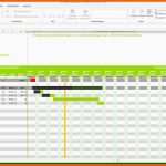 Limitierte Auflage Projektplan Excel