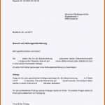 Limitierte Auflage Ratenzahlung Muster Pdf