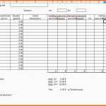 Modisch 15 Fragebogen Excel Vorlage