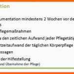 Modisch Das Pfle Agebuch Als Mittel Der Pflegeplanung