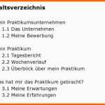 Neue Version 16 Wochenbericht Praktikum Beispiel Vorlagen123