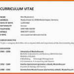 Neue Version Cv Vorlage Word Gut Curriculum Vitae Vorlage