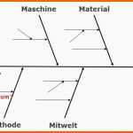 Neue Version ishikawa Diagramm Vorlage Gut 08 16 Fachinformation