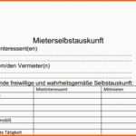 Neue Version Mieter Selbstauskunft formular Download