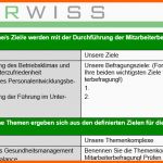 Neue Version tool Konzeptionshilfe Mitarbeiterbefragung