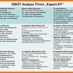 Original 15 Swot Analyse Fallbeispiel