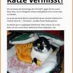 Original Katze Vermisst Vorlage Neu Vermisste Katzen Vorlage Ideen