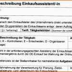 Original Stellenbeschreibung Einkaufsassistent In