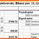 Perfekt Buchhaltung Eröffnen Vereinsbuchhaltung