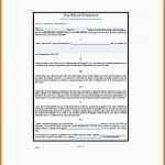 Perfekt Testament Vorlage Pdf Basic Will and Testament Template