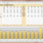 Phänomenal Einnahmen Ausgaben Excel Vorlage – De Excel