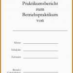 Schockieren 13 Praktikumsbericht Vorlage Pdf